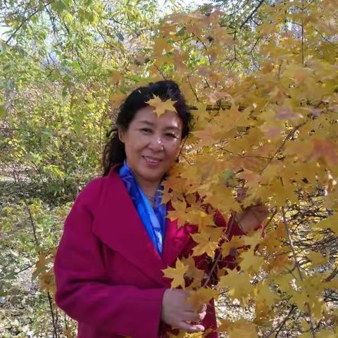 留下永远的回忆2017