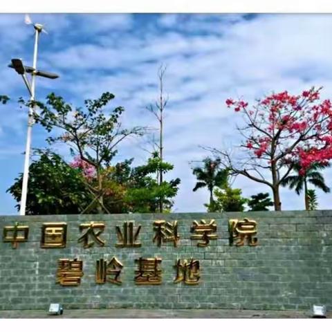 二（3）班户外实践活动，我们一起蘑蘑哒