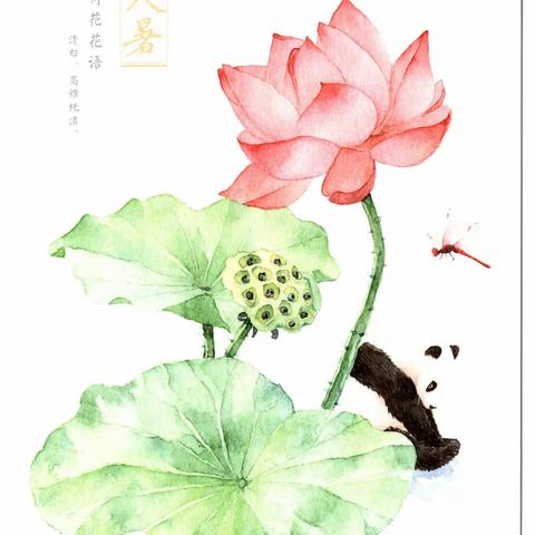 二十四节气之成都小林文化