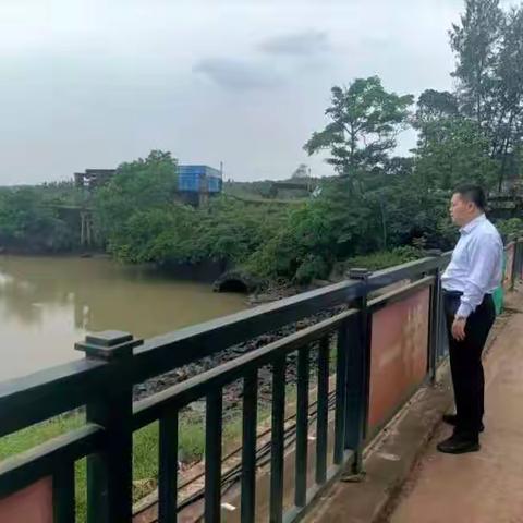 龙塘镇河湖长工作日报(2022年5月3日)