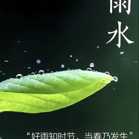 春意萌动，“雨”你相遇。二十四节气之“雨水”