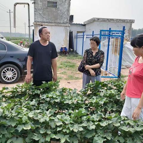 省植保植检总站体系科翟科长一行到我县调研