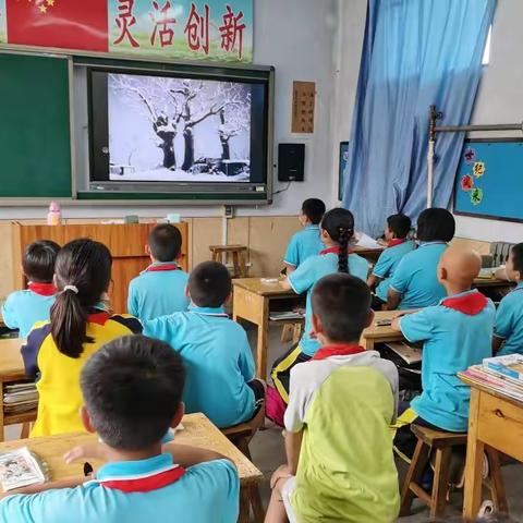 五年级暑假前两周语数学习情况小结