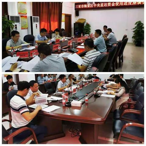 海棠区召开中央直达资金支出                           进度座谈会