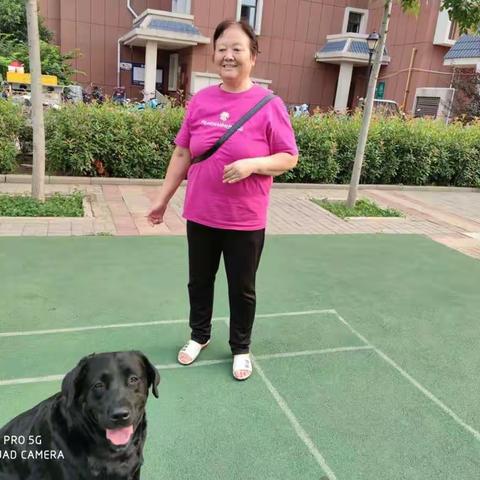 文明养犬，创建平安、和谐社区