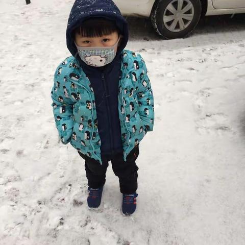 关于2018年一月27日那场雪！