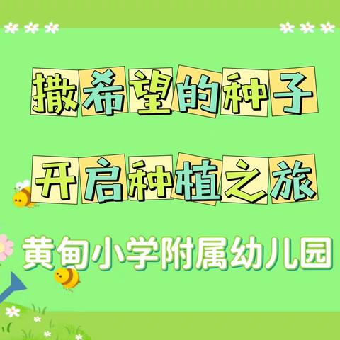 【拥抱春天～播撒希望】黄甸小学附属幼儿园种植活动