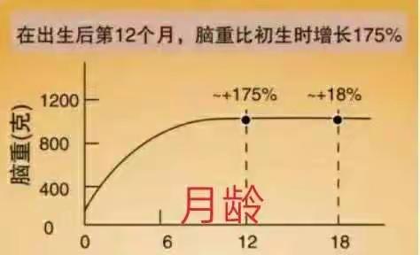 孩子为什么要去托育？不可拒绝的好处和必要性，春田蜜蜜告诉你