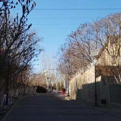 风花雪月“画”塞北（一）