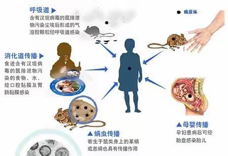 预防疾病  健康成长 ———常宁镇中心幼儿园传染病预防知识宣传