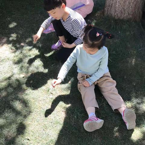 你好，影子！——大四班班本课程