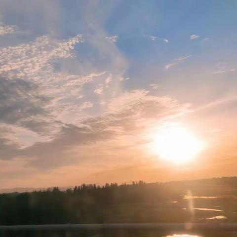 南岗镇第一幼儿园大班重阳节活动我为长辈做点事儿