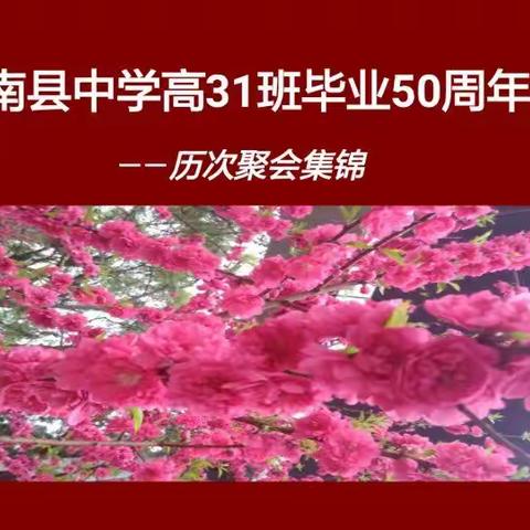 平南县中学高31班历次聚会花絮