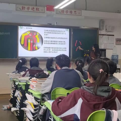 聚焦生物核心素养，绽放高效生命课堂