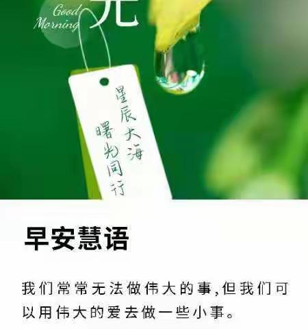 【实践分享】超级学习力训练营5班day10