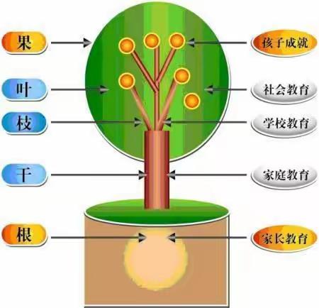 三年二班暑假学习《不输在家庭教育上》活动