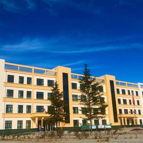 卅铺初中党支部组织开展“党建带团建，大手拉小手”清扫校园共抗疫情志愿服务活动