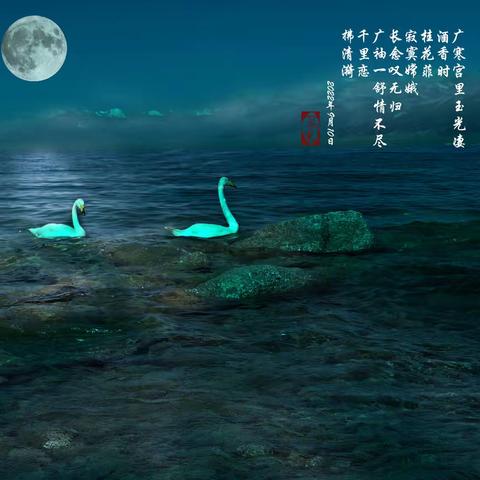 草木美篇——天池中秋夜随想