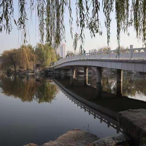 那湖，那景