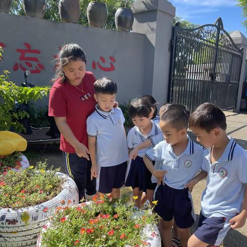 中三班艺术领域《花儿朵朵开》