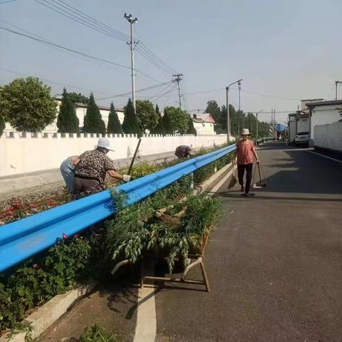 人居环境整治提升--铜冶镇前街村端午节在行动