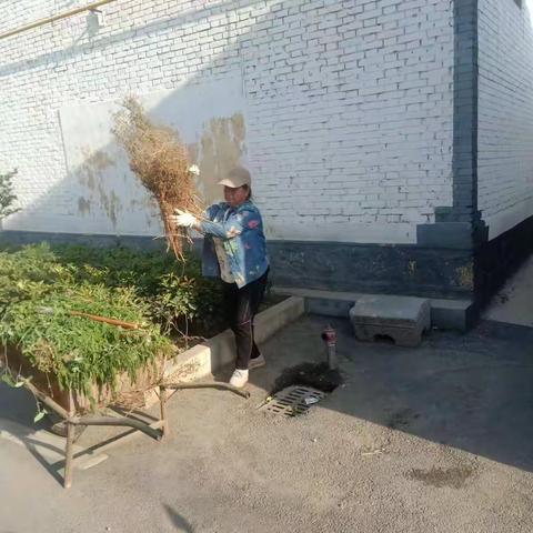 人居环境大整治--铜冶镇前街村助力乡村振兴