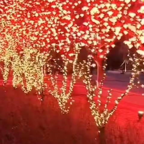 “ 迎虎年庆新春 ” ～七（6）班杨潇雯