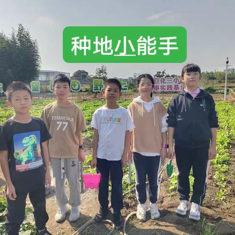 绿野仙踪种菜记之三小农事实践