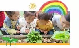 播种希望，收获快乐——记渔溪小学开元幼稚宫种植篇