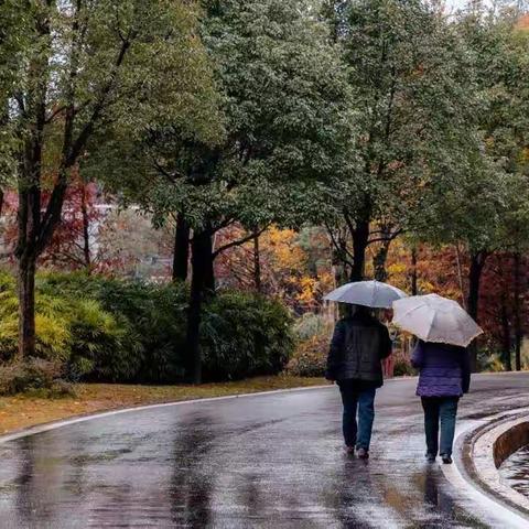 卡蒙加禹都花园幼儿园小二班——雨天邂逅