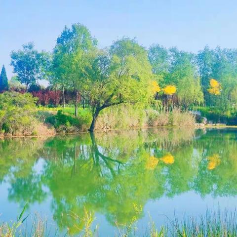 2022.12.25抗疫打油诗(三)