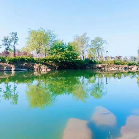 2022.12.25抗疫打油诗(二)