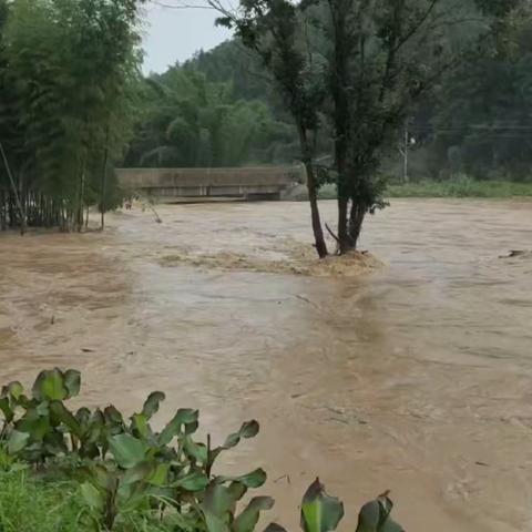 特大暴雨洪水天气    全南消防救援大队闻汛而动