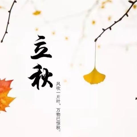 【高陵教育】二十四节气——立秋