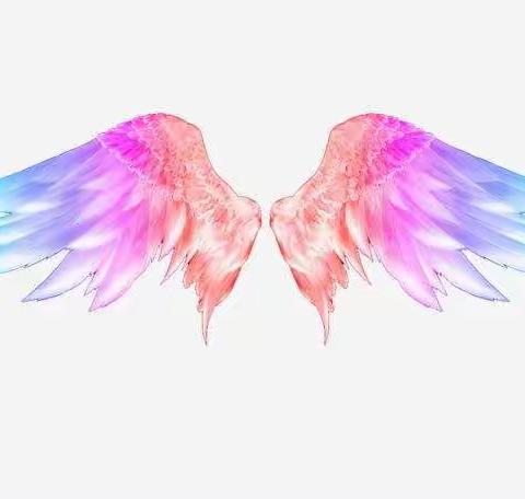 阅读分享：不一样的翅膀 ——读《让我们一起读懂孩子》有感