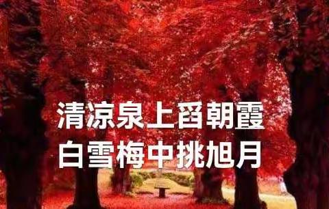 中华旭月诗词的美篇