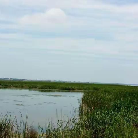 游新立城水库湿地