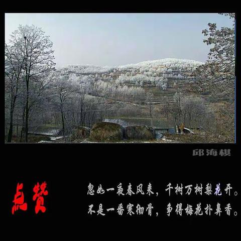 彤芳的美篇