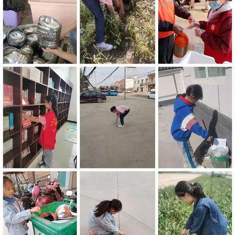 实践出真知，实践长才干——淮阳区文正学校四年级B段