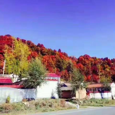 我美丽的家乡