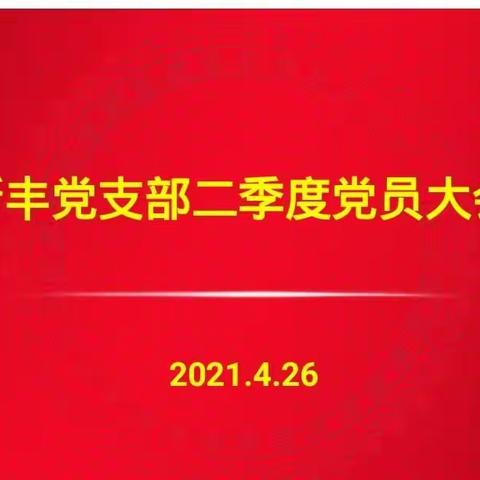 新丰党支部开展4月份主题党日活动并召开二季度党员大会