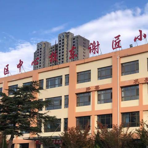 教与研携手 学与思并肩——开发区中心校东谢匠小学综合教研组公开课展示活动