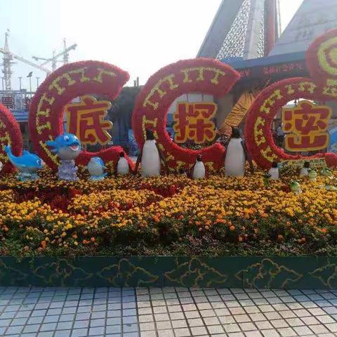 花明路小学海底世界探秘研学活动