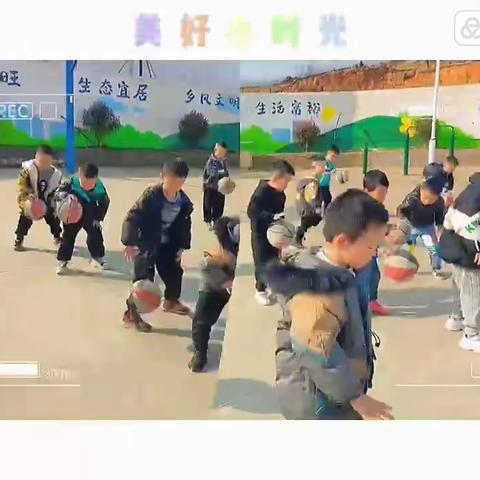 九华常青树公办幼儿园百树一班月回顾