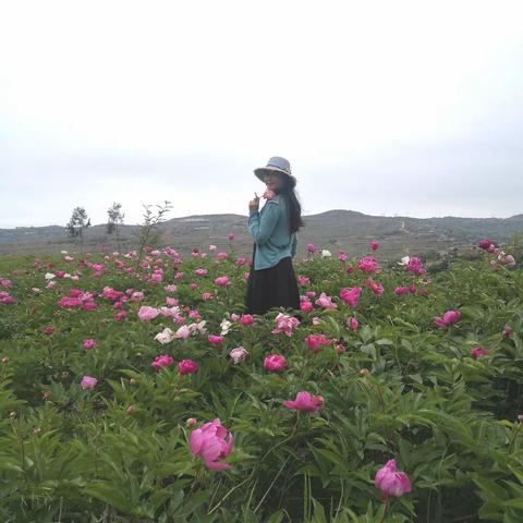 希望的田野         文 || 阿米