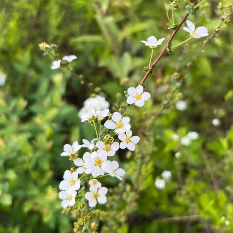 一周工作动态（4.10－4.14）