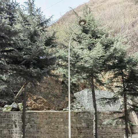 工作动态（3月15日）