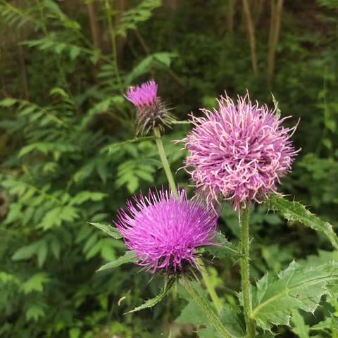 一周工作动态（6.26－6.30）