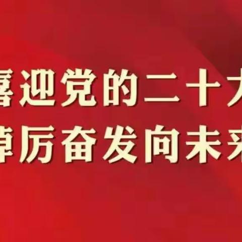矢志不渝跟党走 携手奋进新时代--国家税务总局海伦市税务局组织观看党的二十大