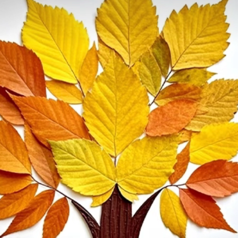 【一年二班】本学期期末最后一次抽奖活动~